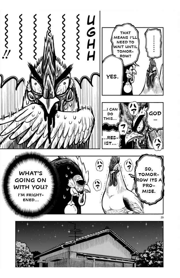 Page 29 Chapter 9 Rooster Fighter