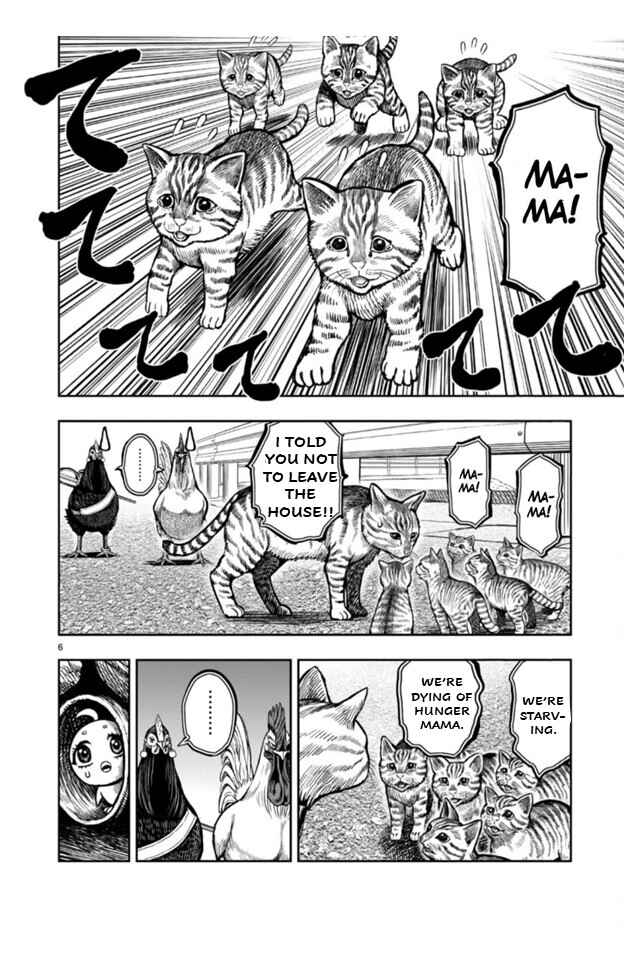 Page 6 Chapter 9 Rooster Fighter