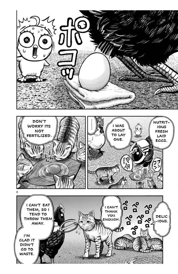 Page 8 Chapter 9 Rooster Fighter