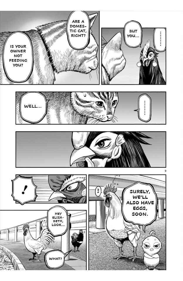 Page 9 Chapter 9 Rooster Fighter
