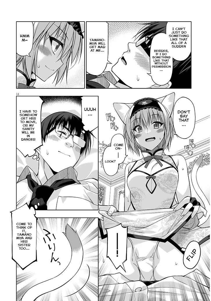 Page 14 Chapter 11 Anata wa Watashi no Geboku desu - Neko to Geboku no Himitsu no Kankei