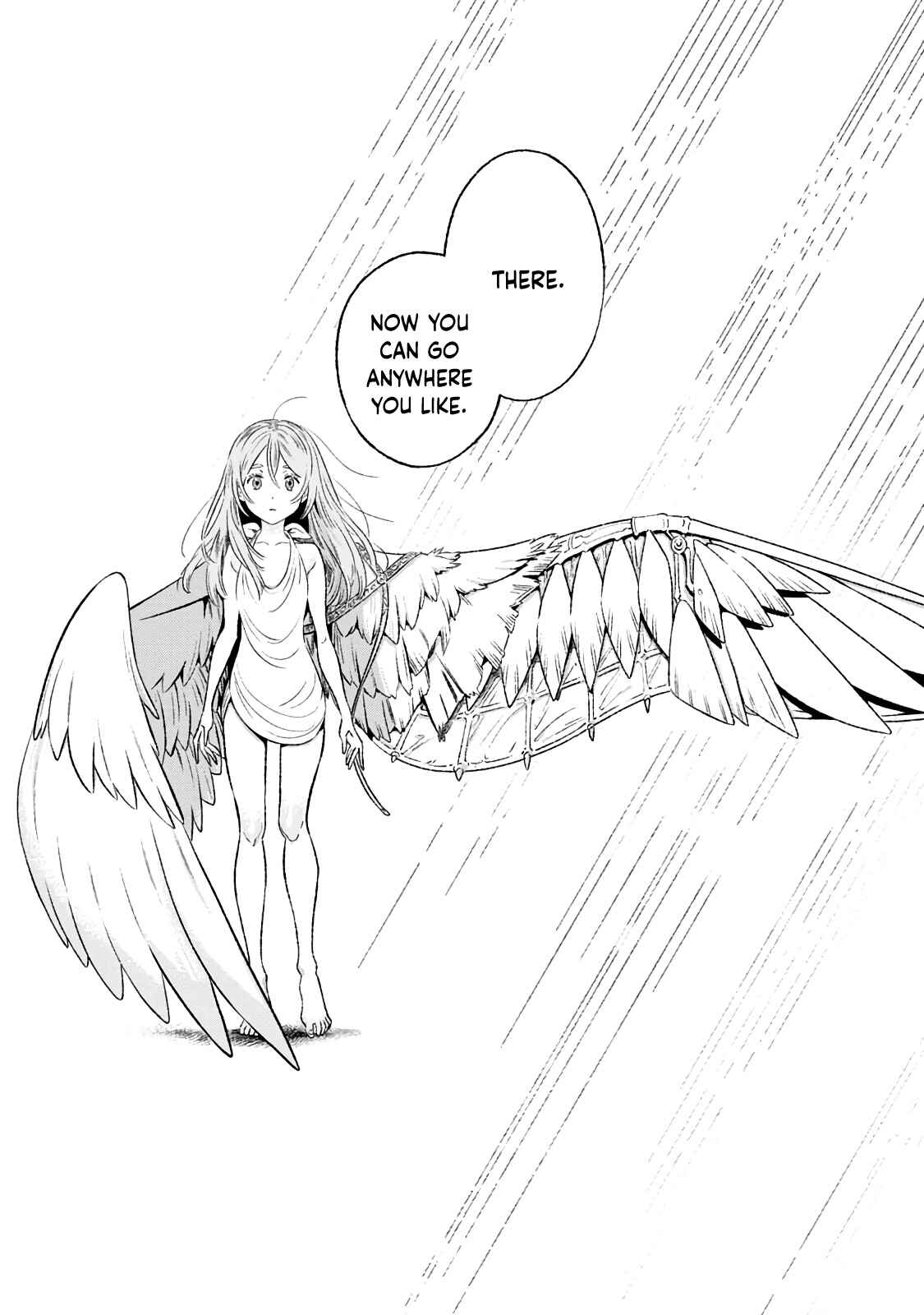 Page 11 Chapter Unknown_22c0 Those With Wings