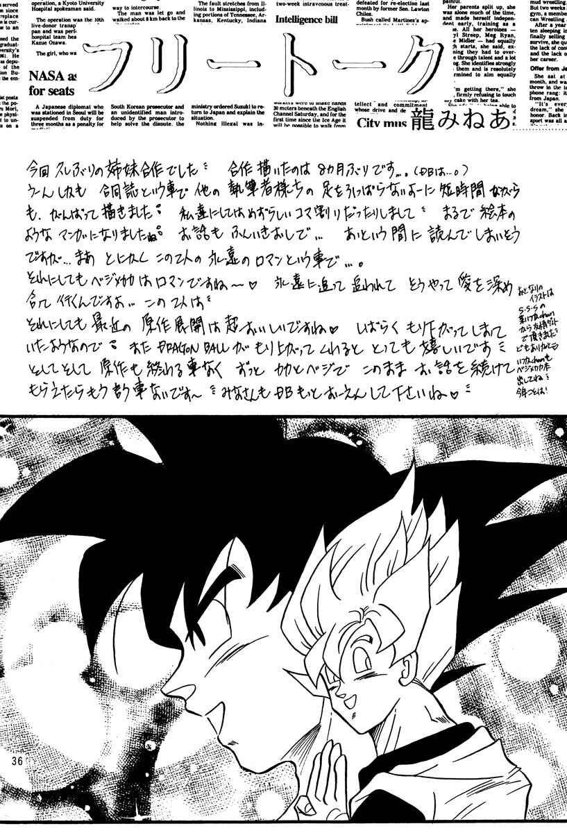 Page 35 Chapter Unknown_a4c8 Dragon Ball - Eternal Puzzle (Doujinshi)