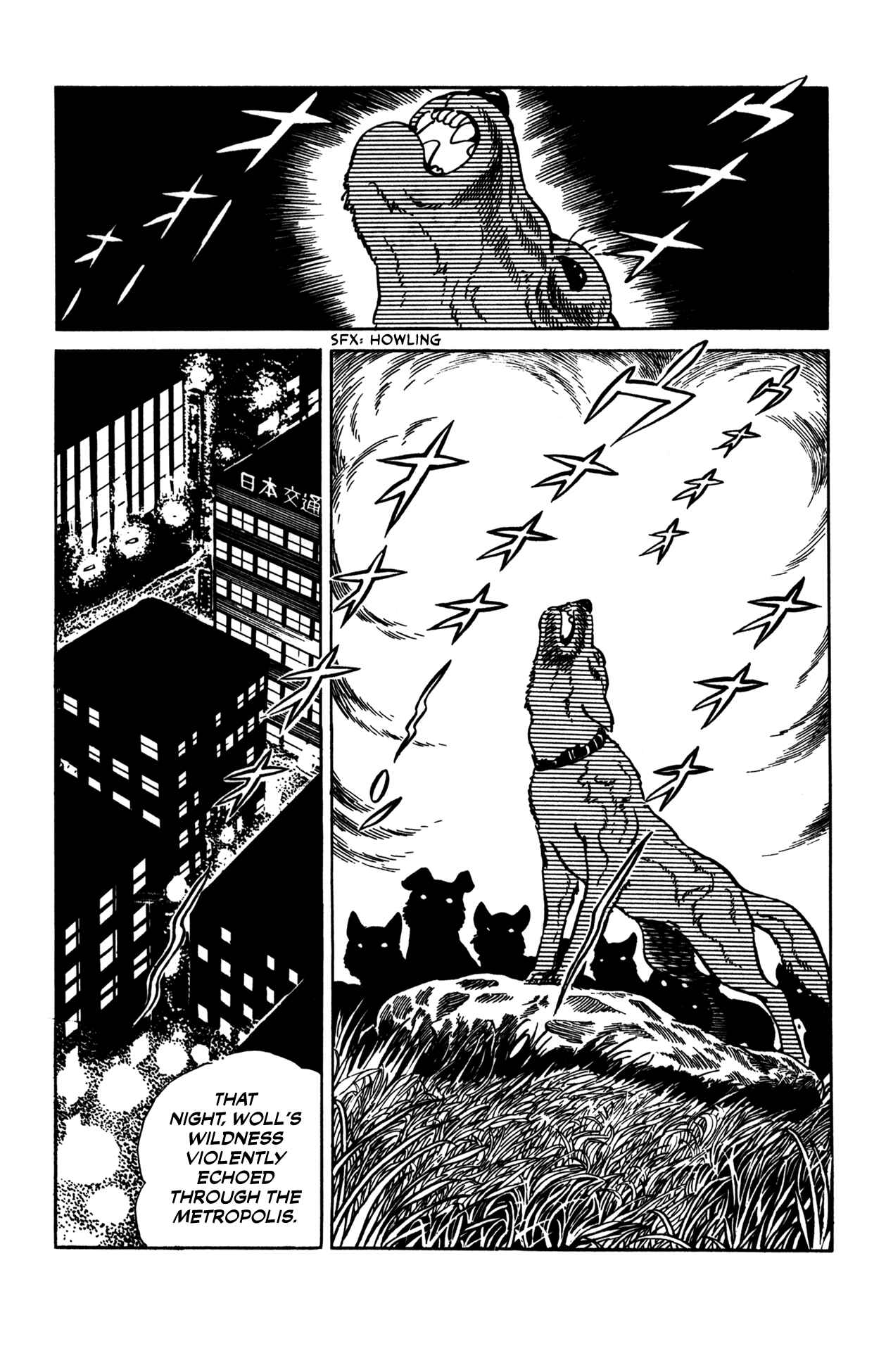 Page 23 Chapter 5 Woll