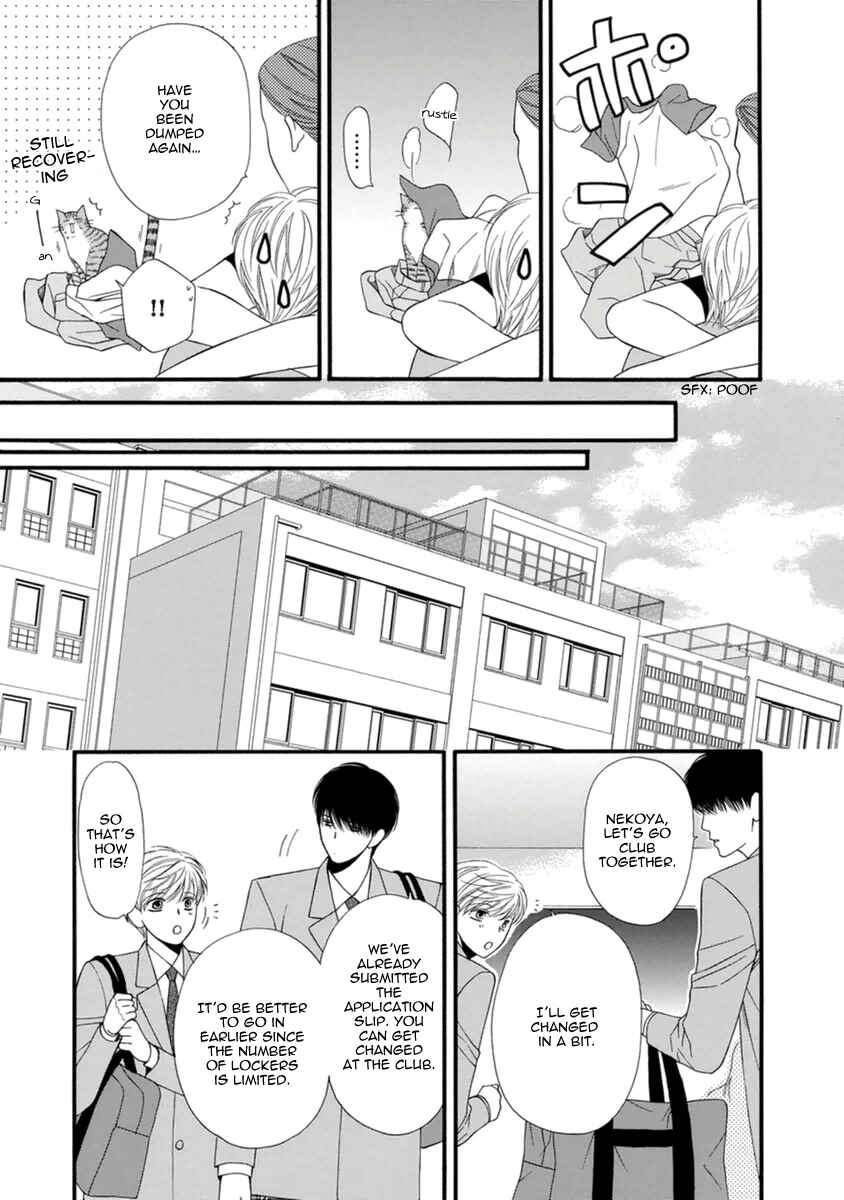 Page 17 Chapter 8 Neko Neko Honey