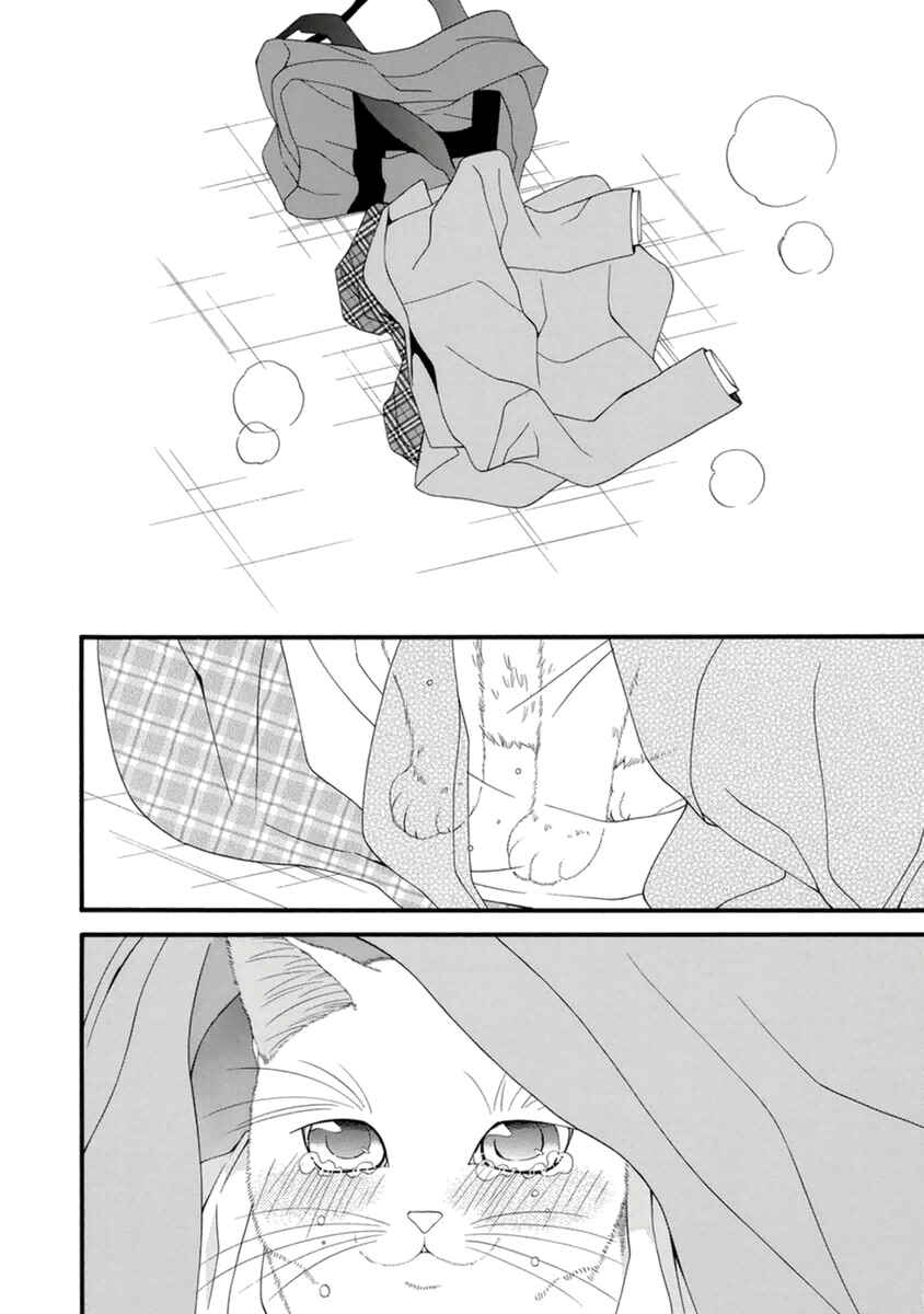 Page 26 Chapter 8 Neko Neko Honey