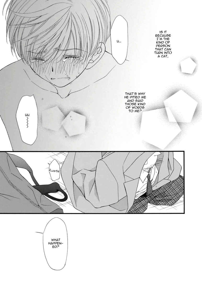 Page 29 Chapter 8 Neko Neko Honey