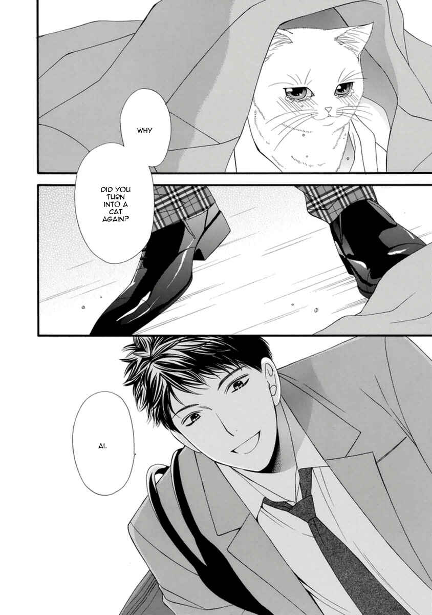 Page 30 Chapter 8 Neko Neko Honey