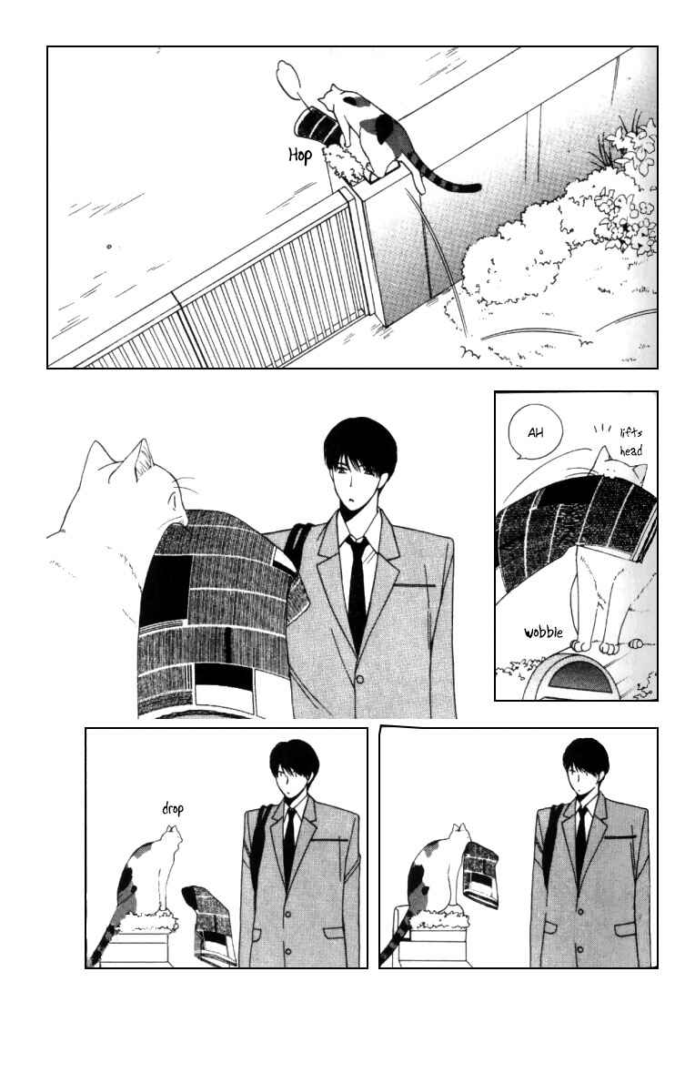 Page 19 Chapter 4 Neko Neko Honey