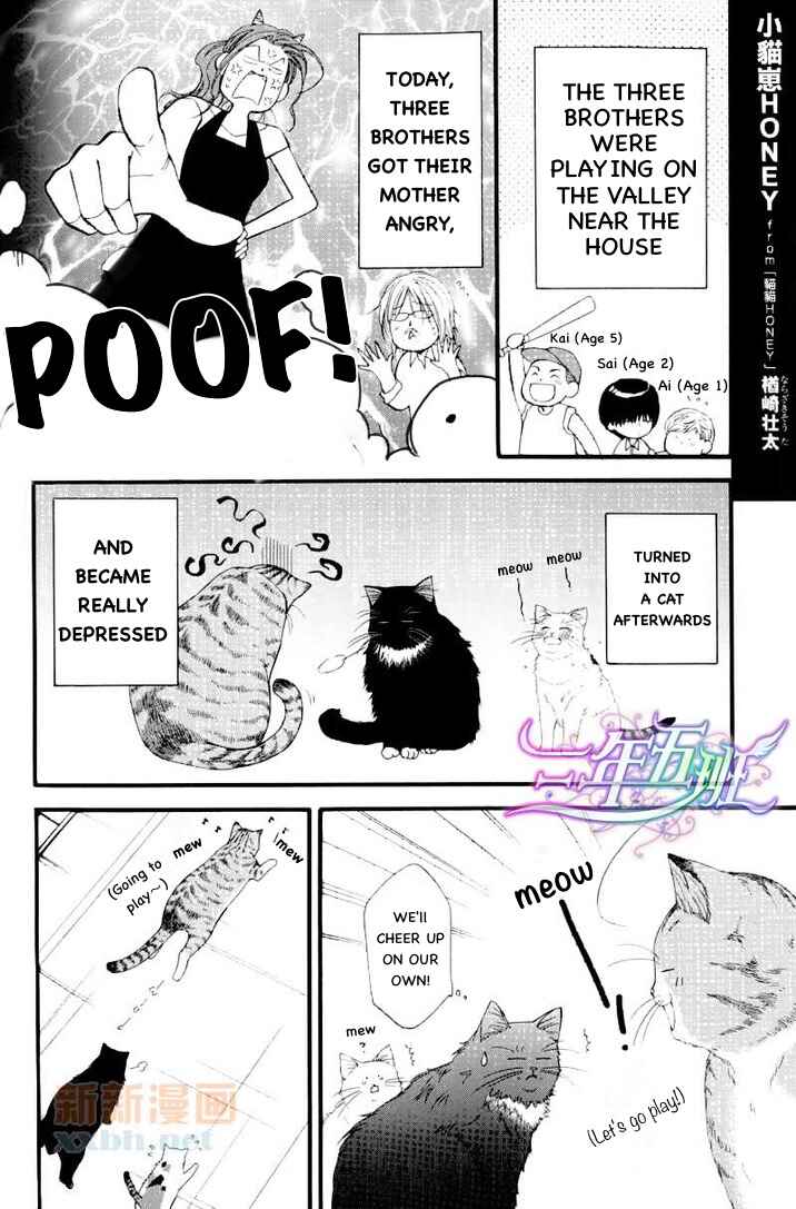 Page 1 Chapter 6.5 Neko Neko Honey