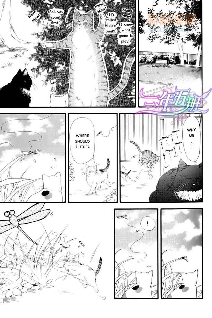 Page 2 Chapter 6.5 Neko Neko Honey