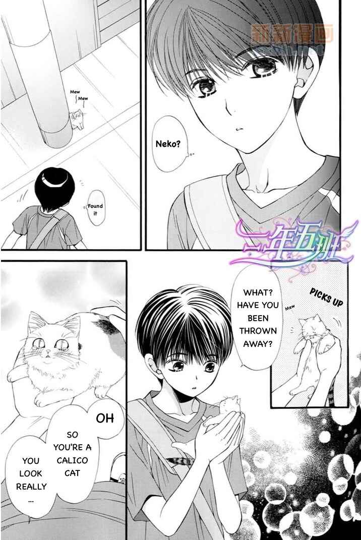 Page 4 Chapter 6.5 Neko Neko Honey