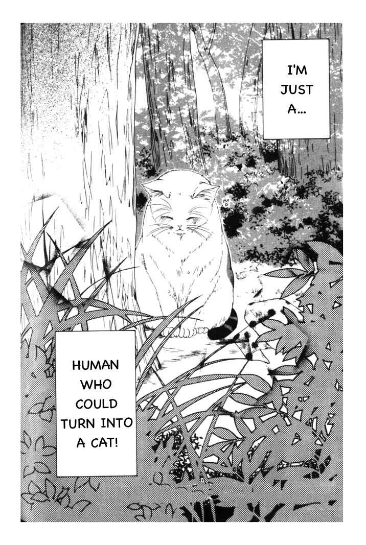 Page 35 Chapter 3 Neko Neko Honey