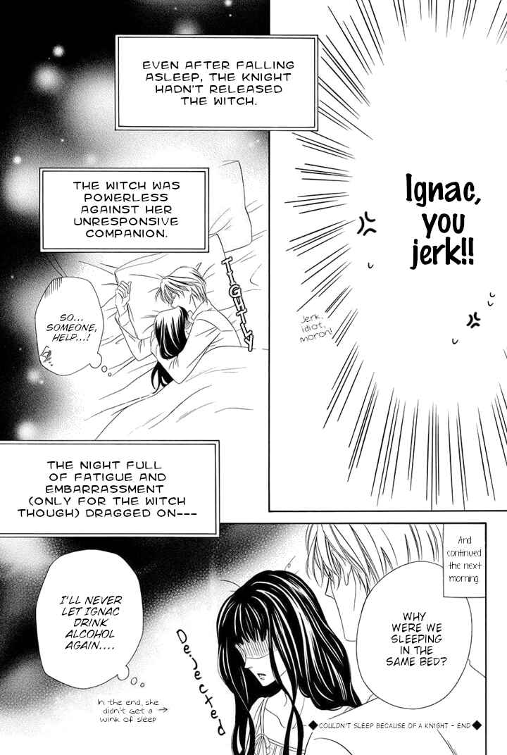 Page 17 Chapter 4.5 Majo to Kiketsu no Kishi