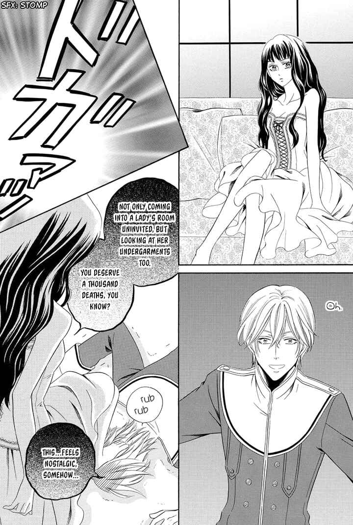 Page 41 Chapter 13 Majo to Kiketsu no Kishi