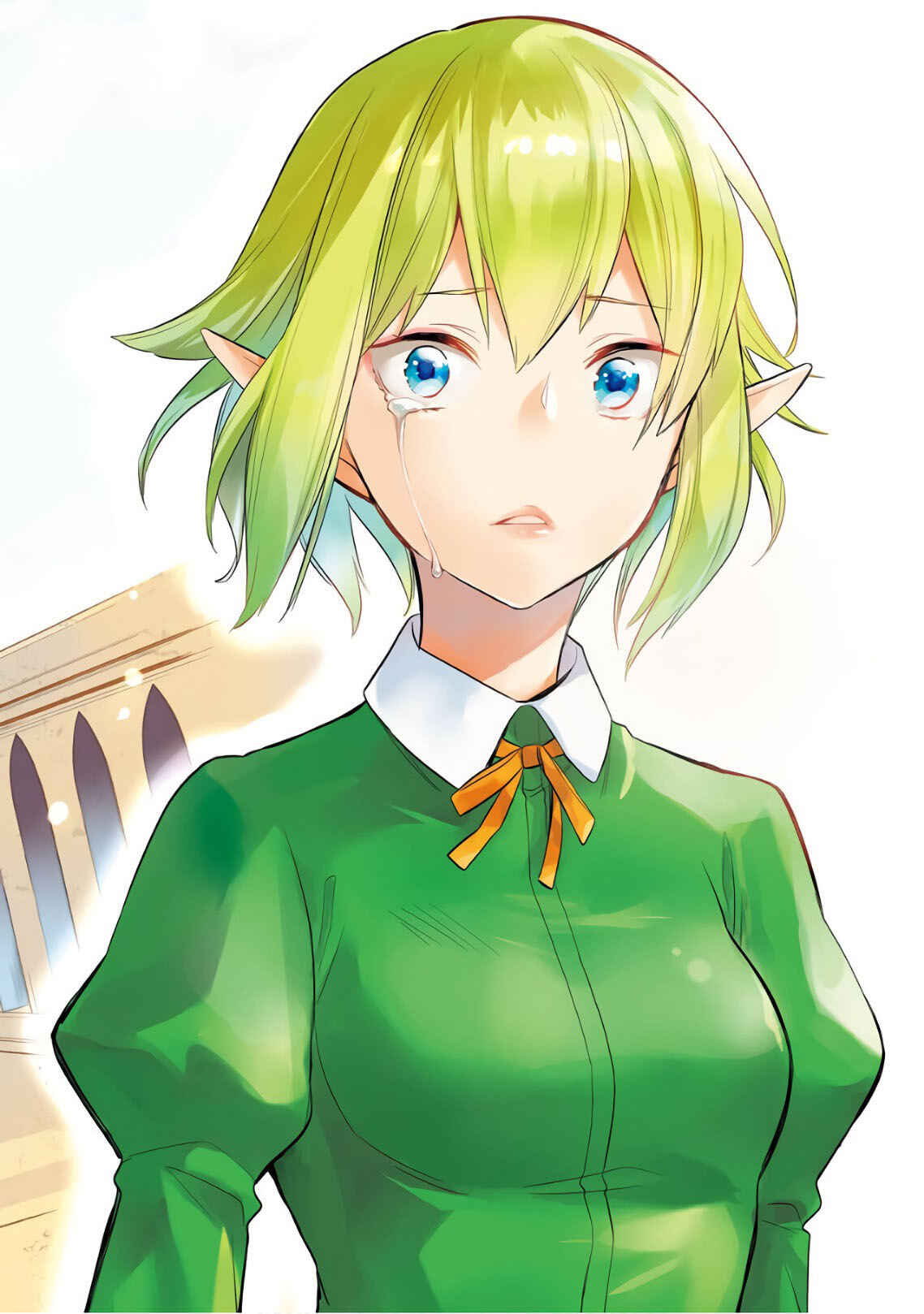 Page 5 Chapter 14 Dungeon ni Deai o Motomeru no wa Machigatteiru Darou ka: Familia Chronicle—Episode Ryuu