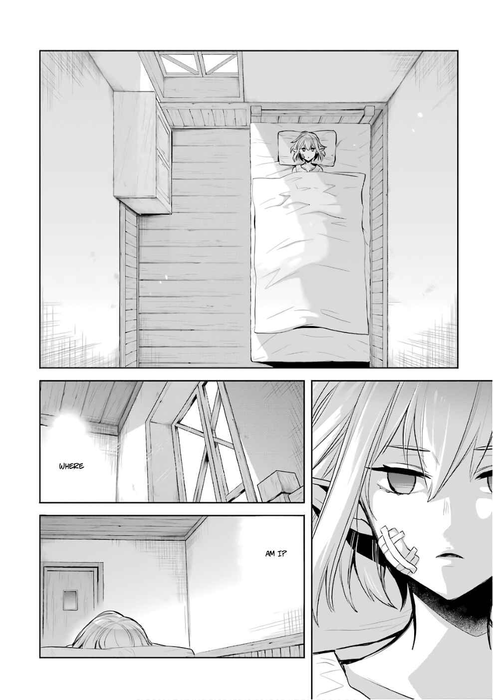 Page 11 Chapter 11 Dungeon ni Deai o Motomeru no wa Machigatteiru Darou ka: Familia Chronicle—Episode Ryuu