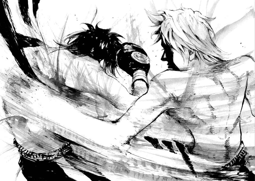 Page 13 Chapter 17 Black-Box