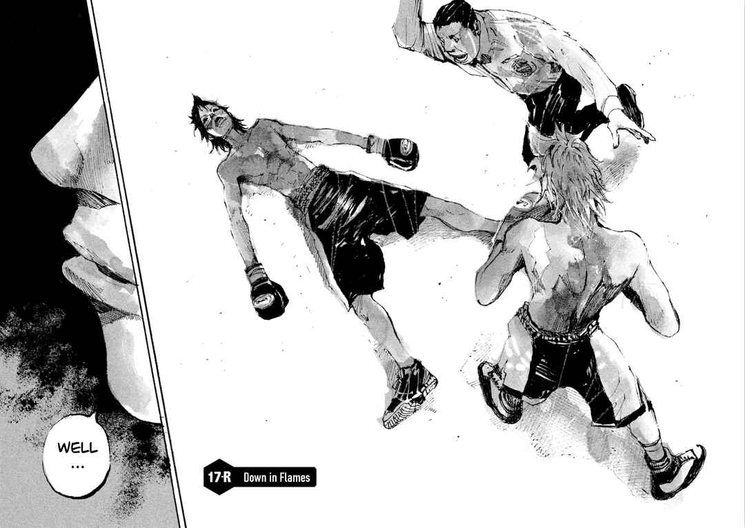 Page 2 Chapter 17 Black-Box