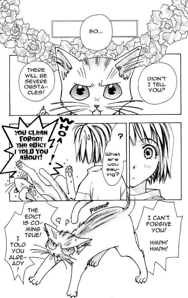 Page 3 Chapter 2 Cosmo na Bokura!