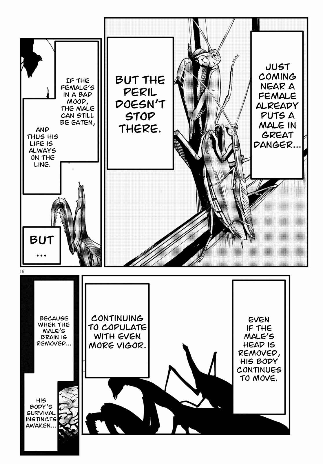 Page 16 Chapter 2 Konchuki