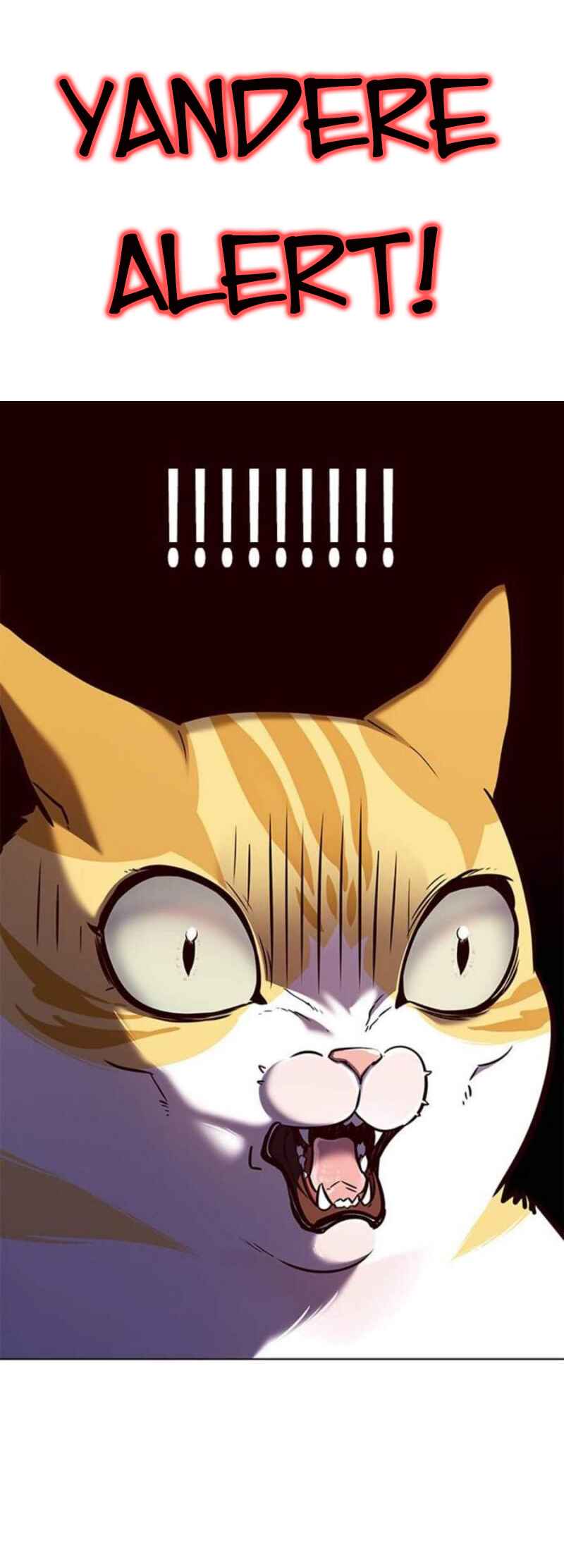 Page 22 Chapter 79 Sensei.