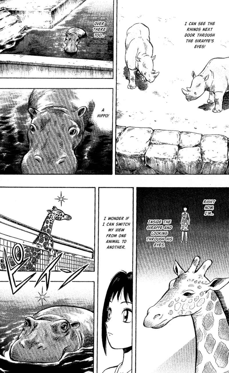 Page 17 Chapter 3 A.S. Animal Sense