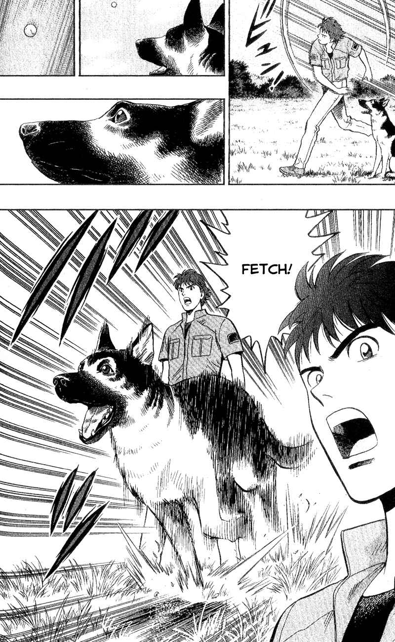 Page 33 Chapter 3 A.S. Animal Sense