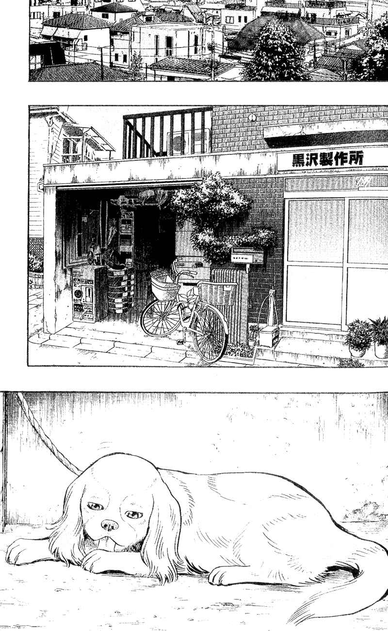 Page 4 Chapter 3 A.S. Animal Sense