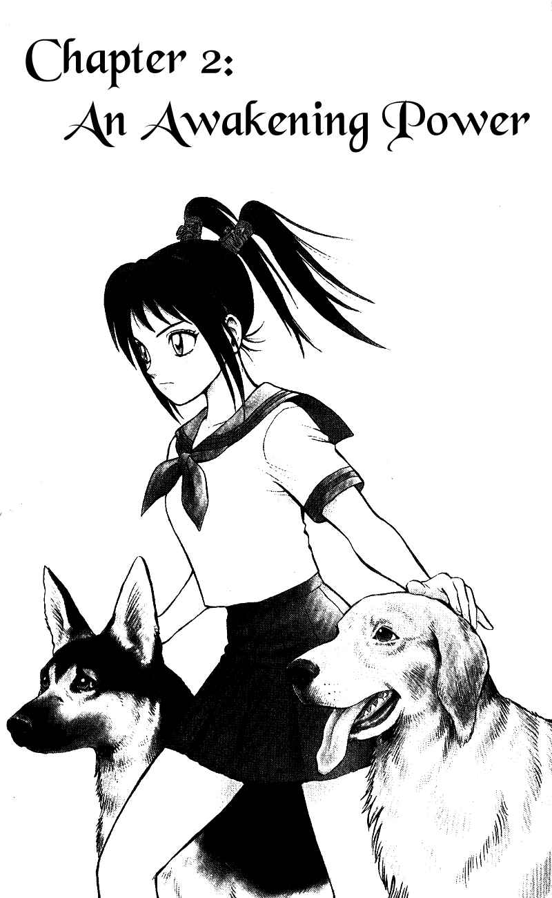 Page 1 Chapter 2 A.S. Animal Sense
