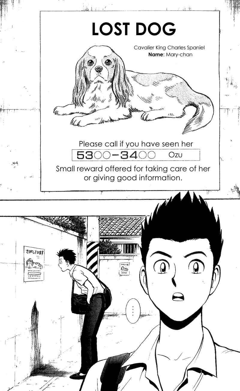 Page 34 Chapter 2 A.S. Animal Sense