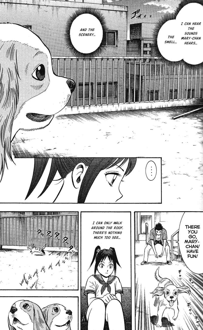 Page 21 Chapter 5 A.S. Animal Sense