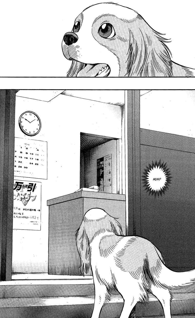 Page 6 Chapter 7 A.S. Animal Sense