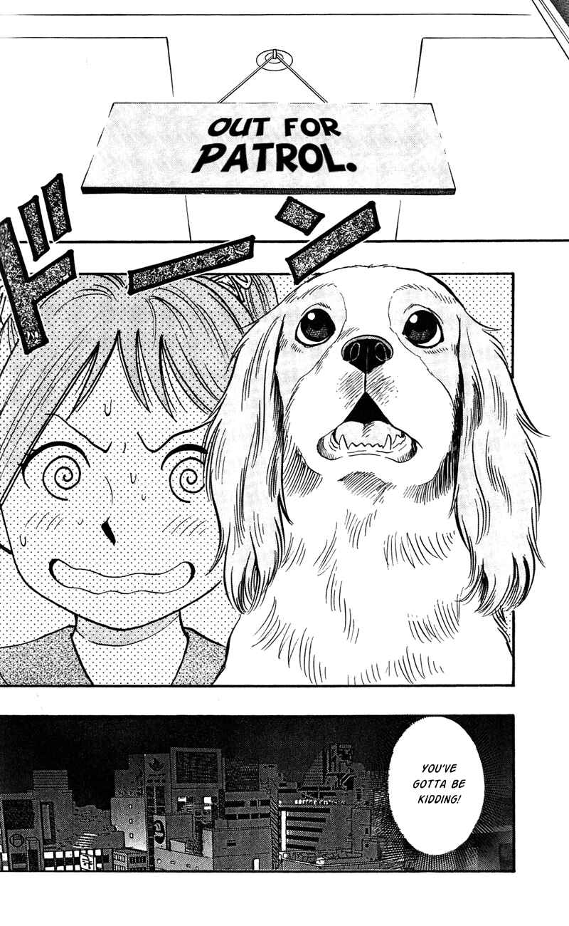 Page 8 Chapter 7 A.S. Animal Sense