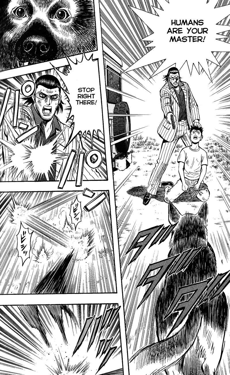 Page 17 Chapter 13 A.S. Animal Sense