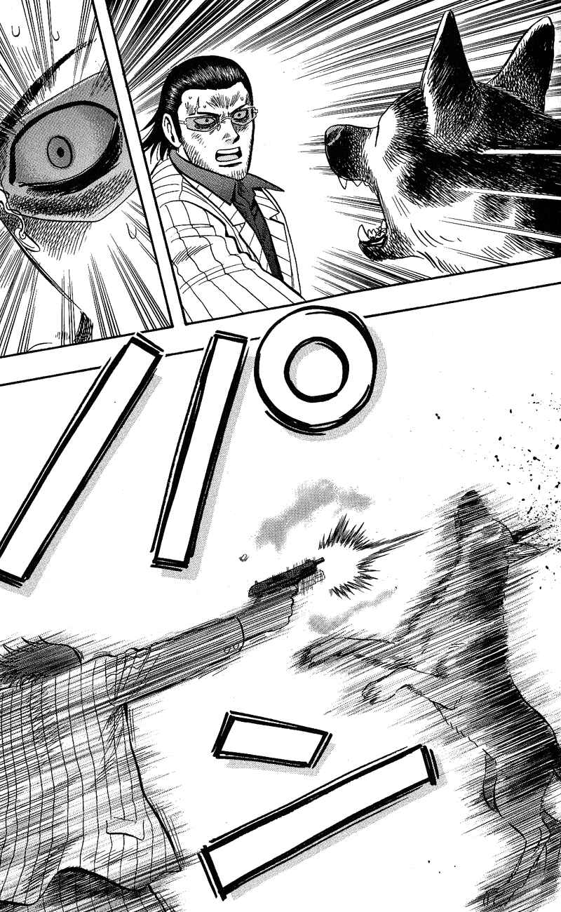 Page 18 Chapter 13 A.S. Animal Sense