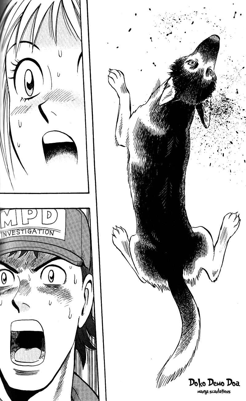 Page 19 Chapter 13 A.S. Animal Sense