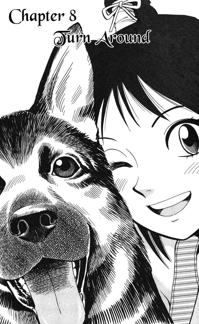 Page 1 Chapter 8 A.S. Animal Sense