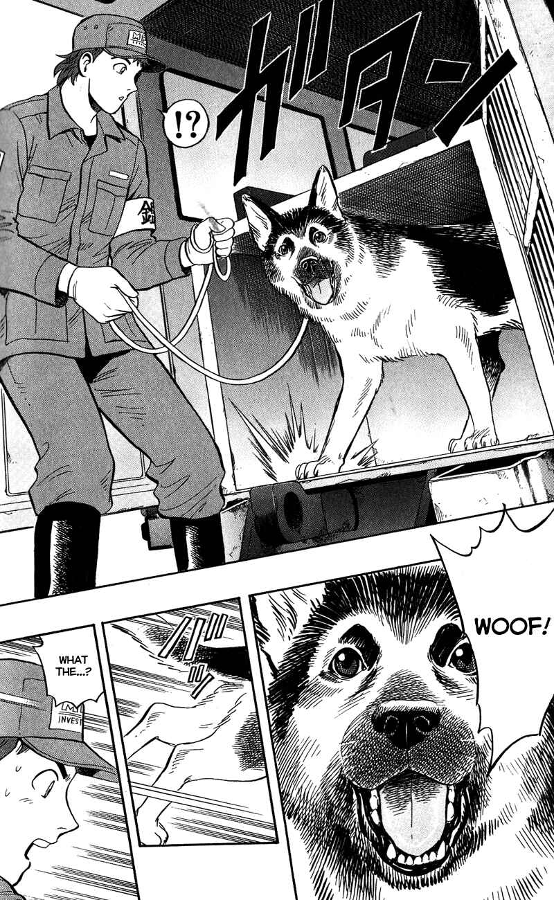Page 26 Chapter 8 A.S. Animal Sense
