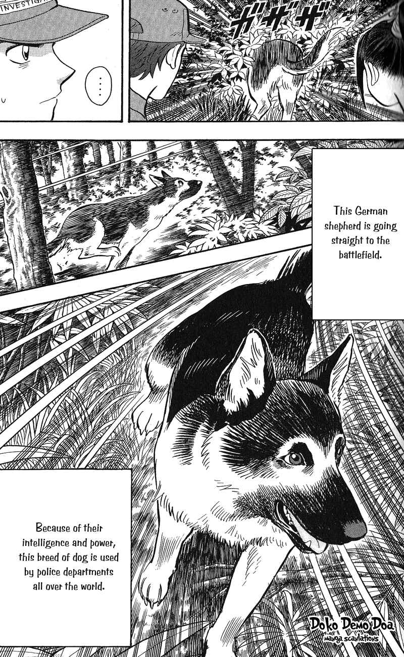 Page 19 Chapter 12 A.S. Animal Sense