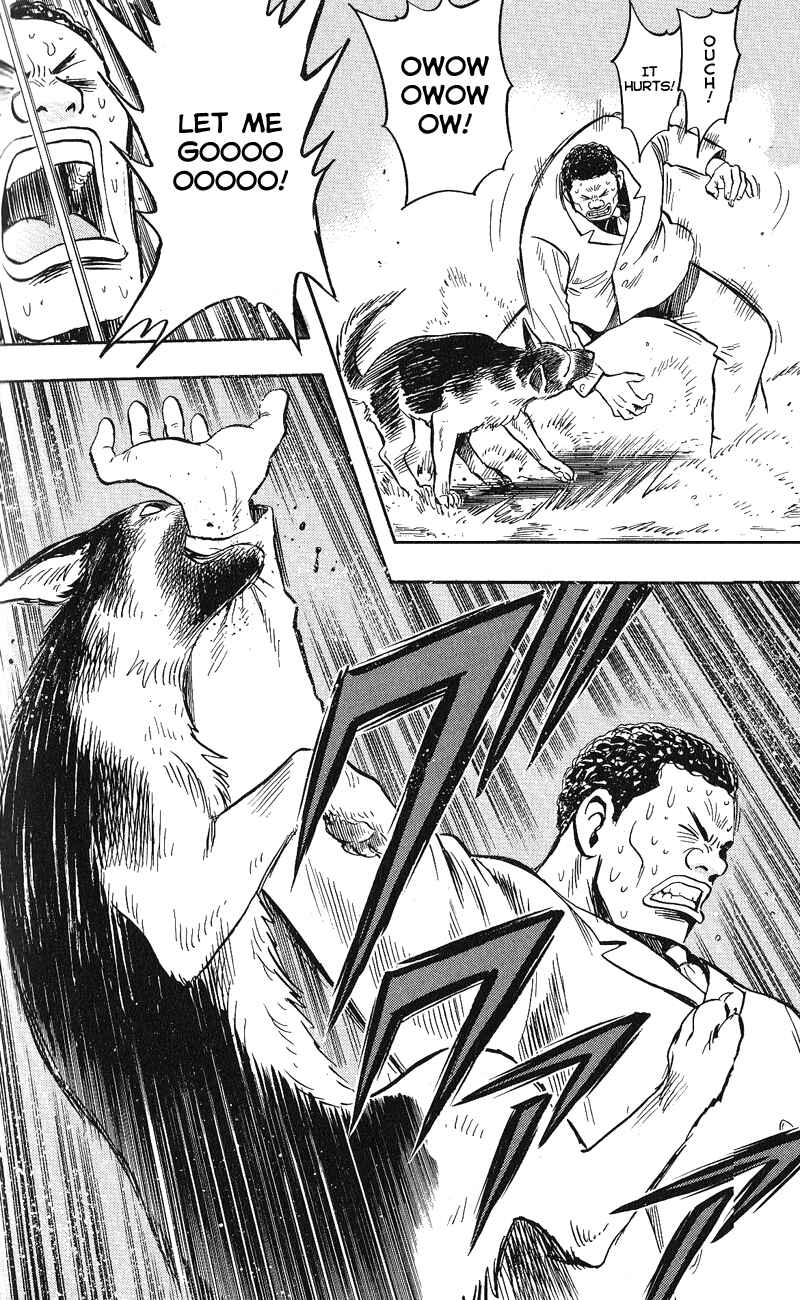 Page 35 Chapter 12 A.S. Animal Sense