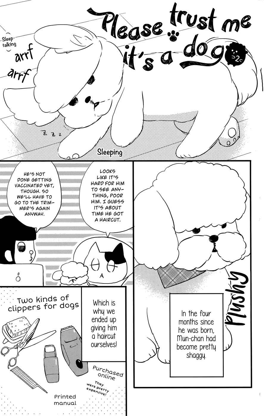 Page 28 Chapter 12 Anagura Amelie