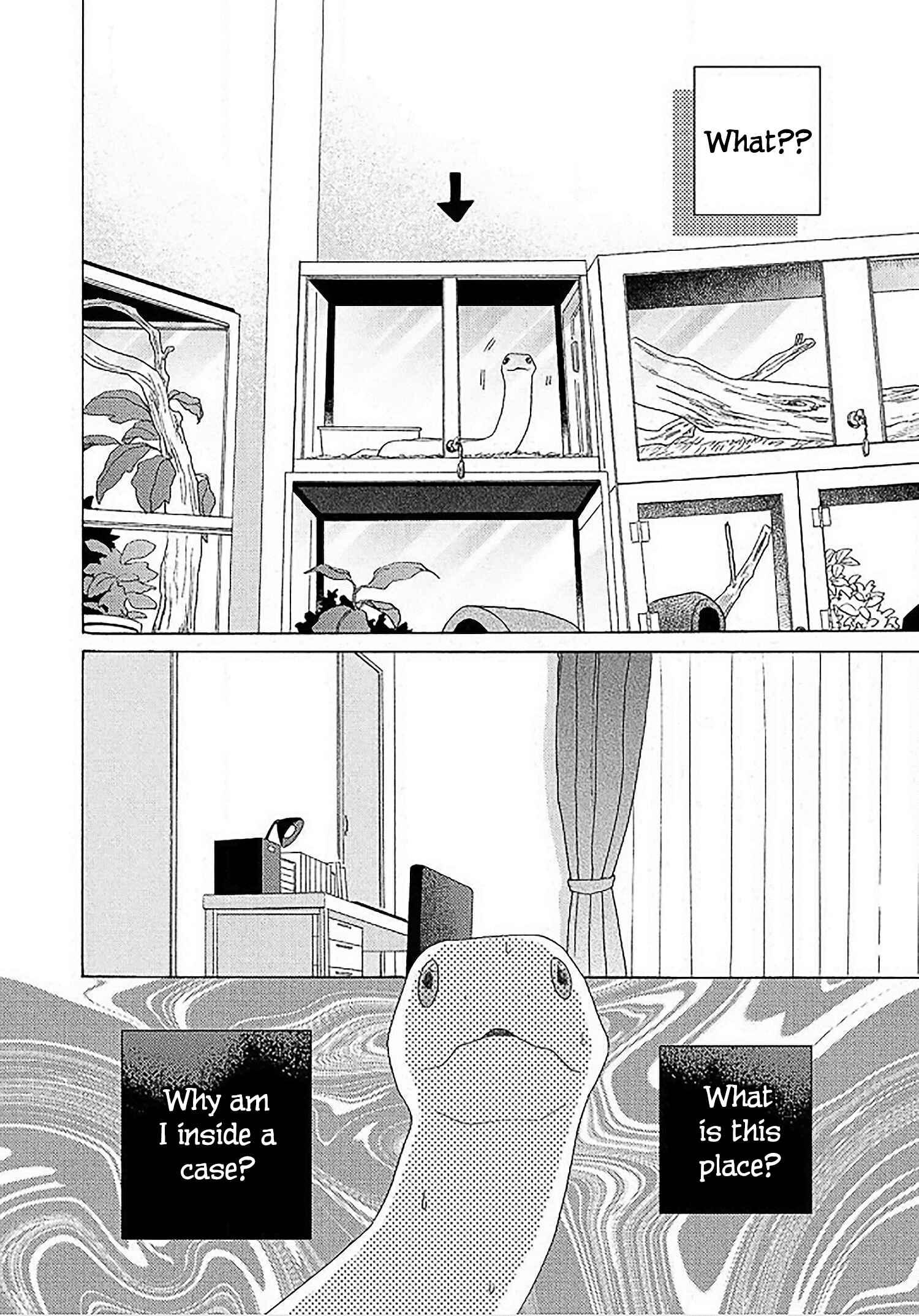 Page 16 Chapter 1 Yome wa Hakoiri Musuko