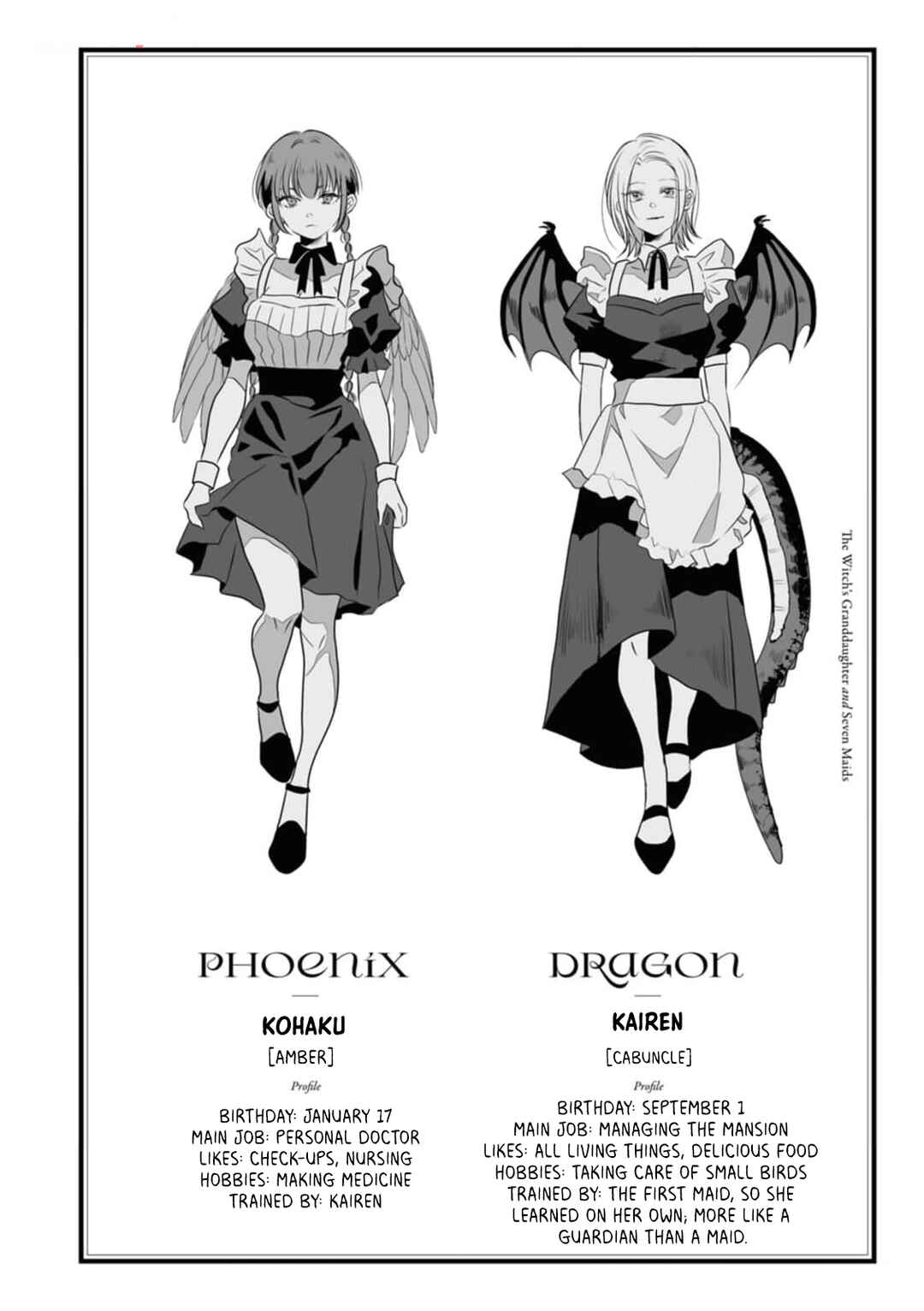 Page 3 Chapter 5 Majo no Mago to Nana Nin no Maid