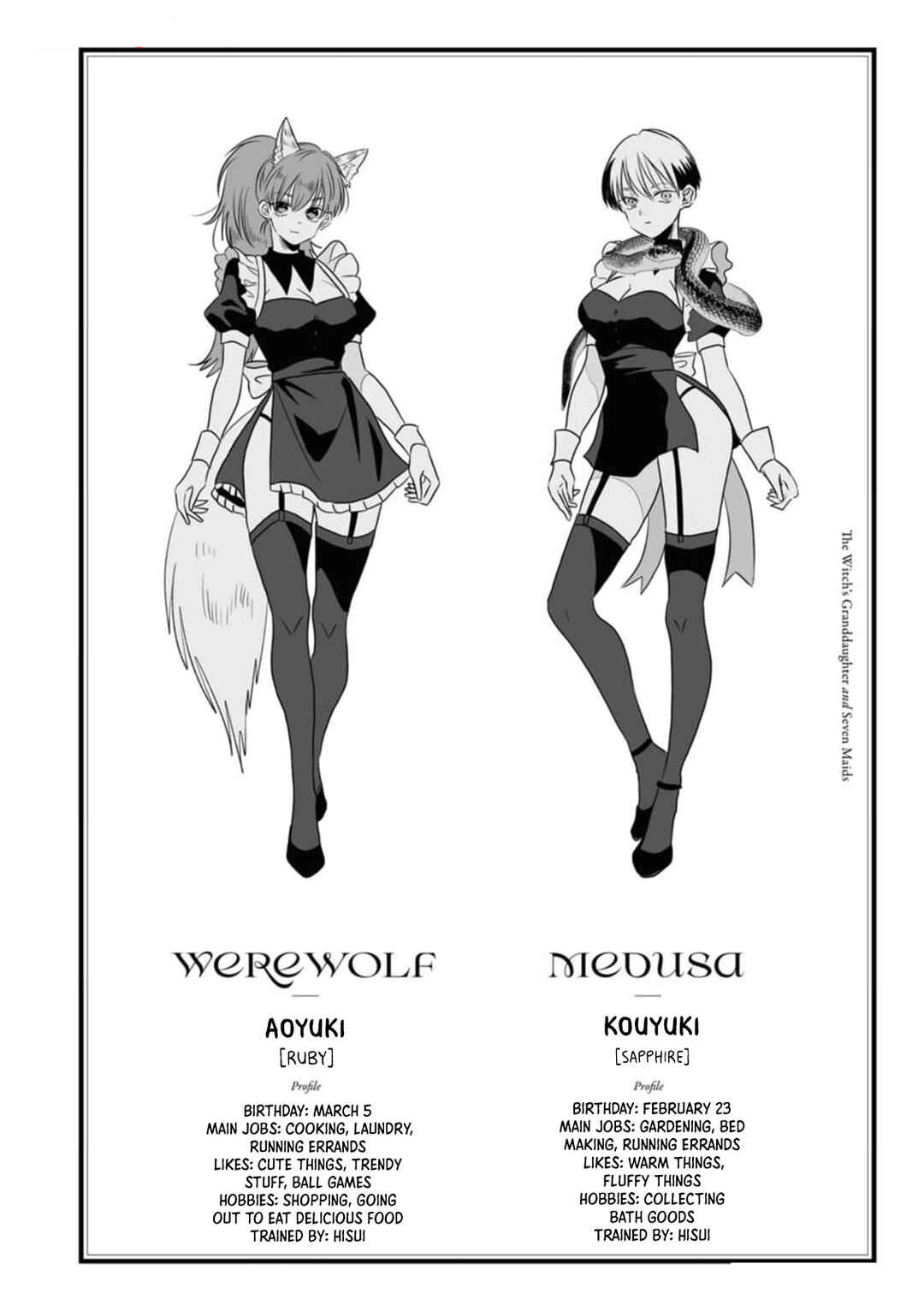 Page 3 Chapter 1 Majo no Mago to Nana Nin no Maid