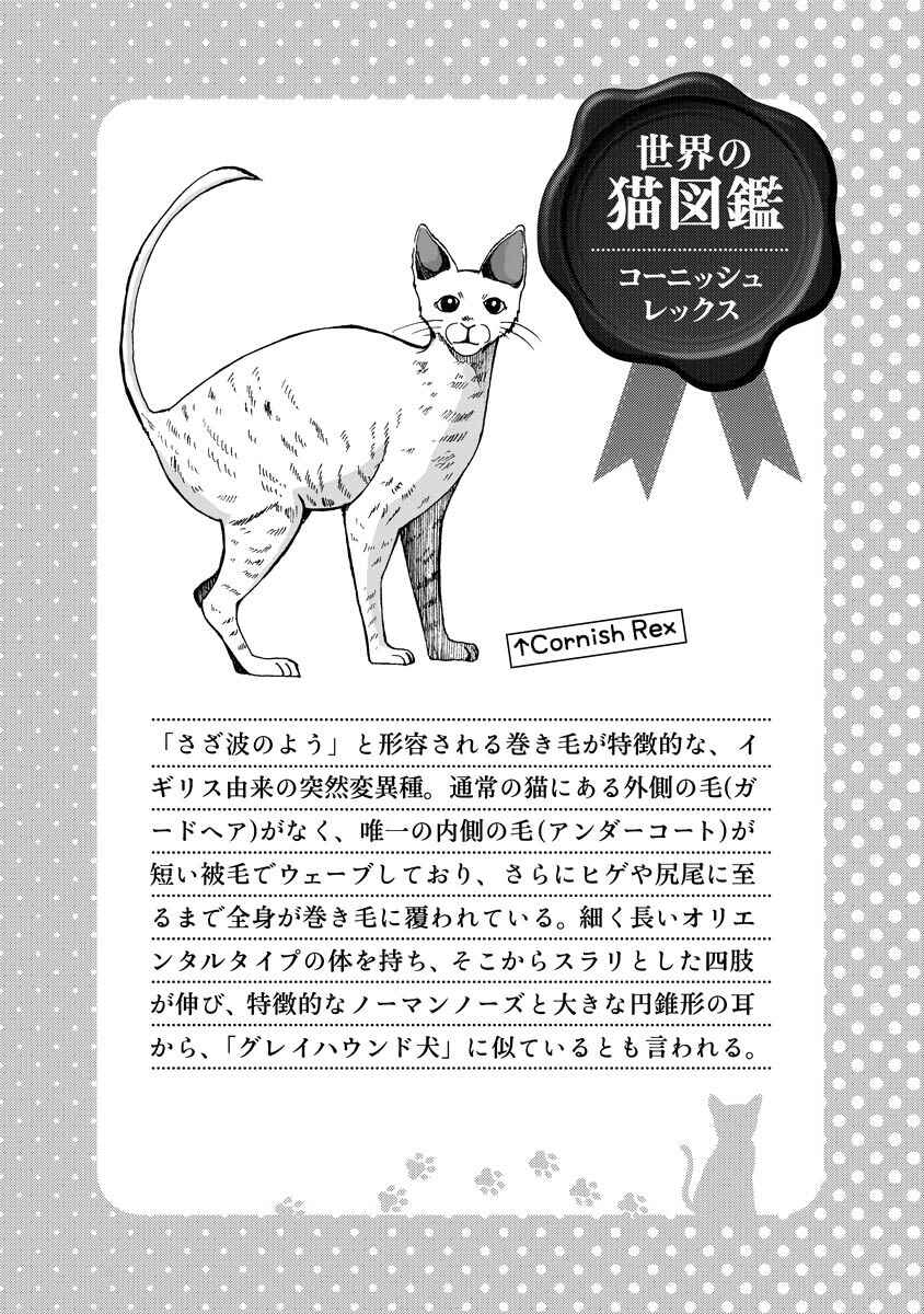 Page 26 Chapter 11 Hentai Ouji to Warawanai Neko.