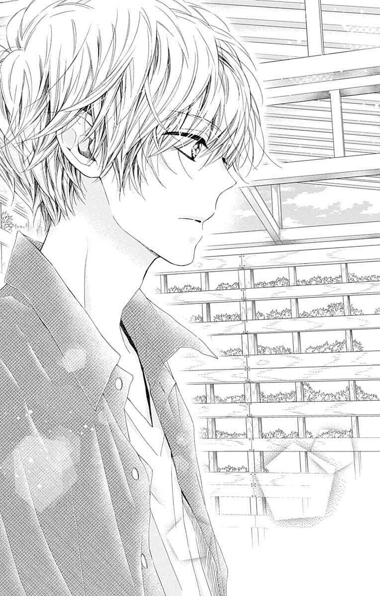 Page 33 Chapter 29 Kirameki no Lion Boy