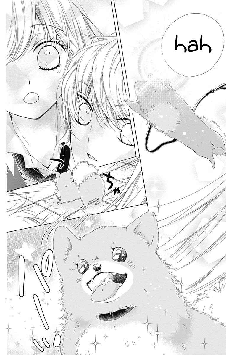 Page 31 Chapter 15 Kirameki no Lion Boy
