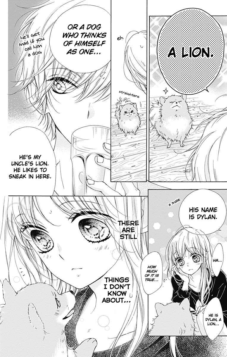 Page 13 Chapter 13 Kirameki no Lion Boy