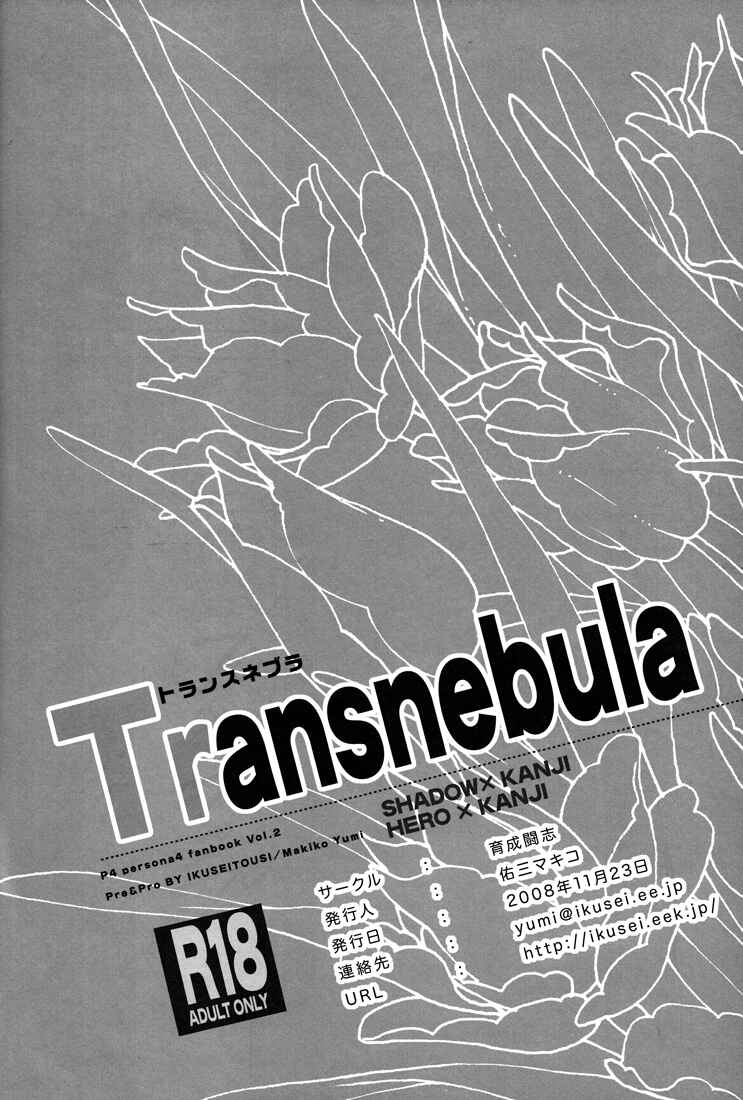Page 27 Chapter Unknown_14fe Persona 4 - Transnebula (Doujinshi)